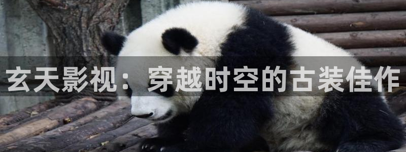 好好看影院：玄天影视：穿越时空的古装佳作