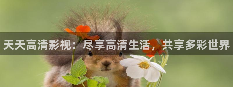 好看影院：天天高清影视：尽享高清生活，共享多彩世界