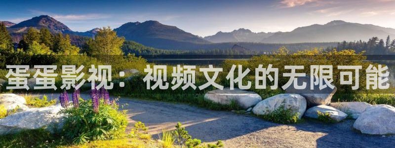 《四库影视》电视剧在线观看-好看影院：蛋蛋影视：视频文化的无限可能
