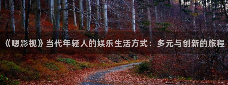《四库影视》电视剧在线观看-好看影院：《嗯影视》当代年轻人的娱乐生活方式：多元与创新的旅程