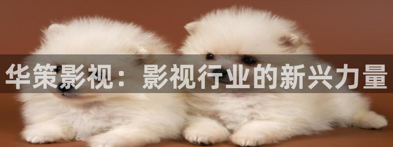 《四库影视》电视剧在线观看-好看影院：华策影视：影视行业的新兴力量