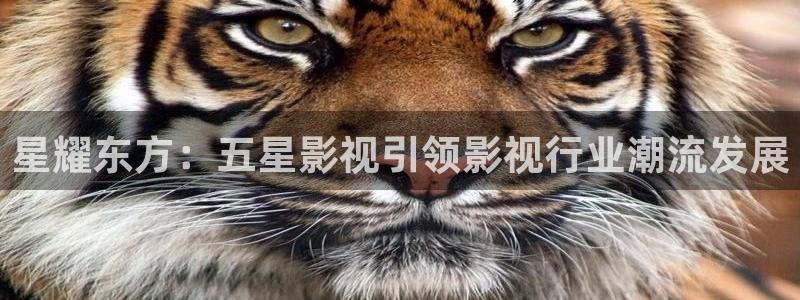 好看影院在线观看：星耀东方：五星影视引领影视行业潮流发展
