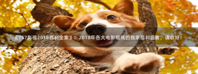 四虎好看影院：《757影视2018福利全集》：2018年各大电影院线的独家福利盛宴，请收好！